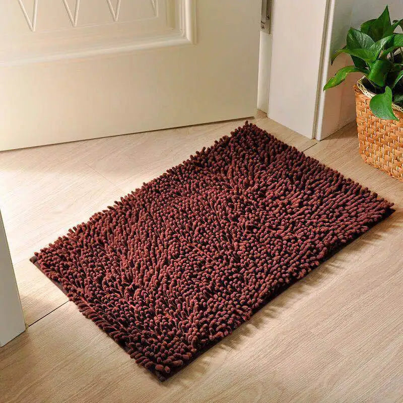 Water Absorption Small Carpet