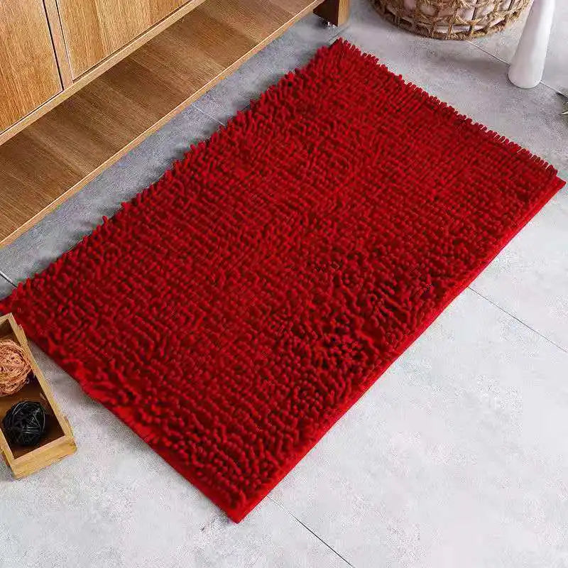 Water Absorption Small Carpet